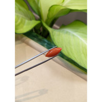 5.52 Ct. Cabochon Coral from Italy Life Style