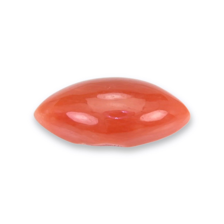 1.62 Ct. Cabochon Coral from Italy