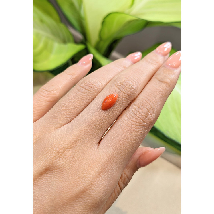 1.62 Ct. Cabochon Coral from Italy