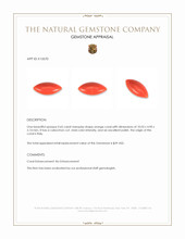 0.65 Ct. Cabochon Coral from Italy Appraisal