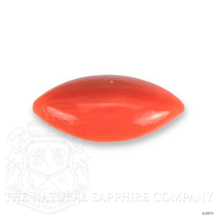 0.65 Ct. Cabochon Coral from Italy