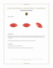 0.32 Ct. Salmon (Orangish Red) Cabochon Coral from Italy Appraisal