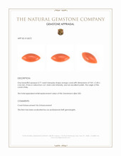 0.77 Ct. Salmon (Orange) Cabochon Coral from Italy Appraisal