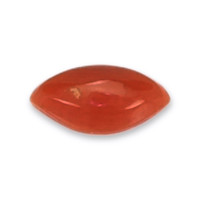 0.13 Ct. Cabochon Coral from Italy Video