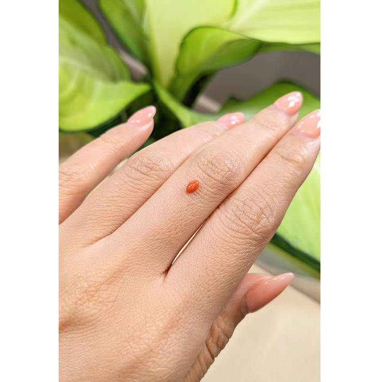 0.13 Ct. Cabochon Coral from Italy