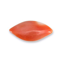 0.45 Ct. Cabochon Coral from Italy Video