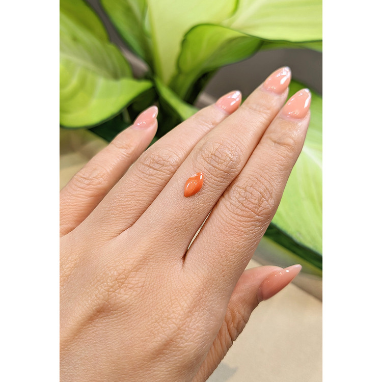 0.45 Ct. Cabochon Coral from Italy