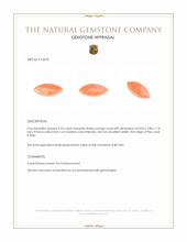 0.23 Ct. Angel Skin (Peach) Cabochon Coral from Italy Appraisal