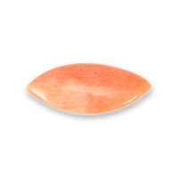 0.23 Ct. Cabochon Coral from Italy Video