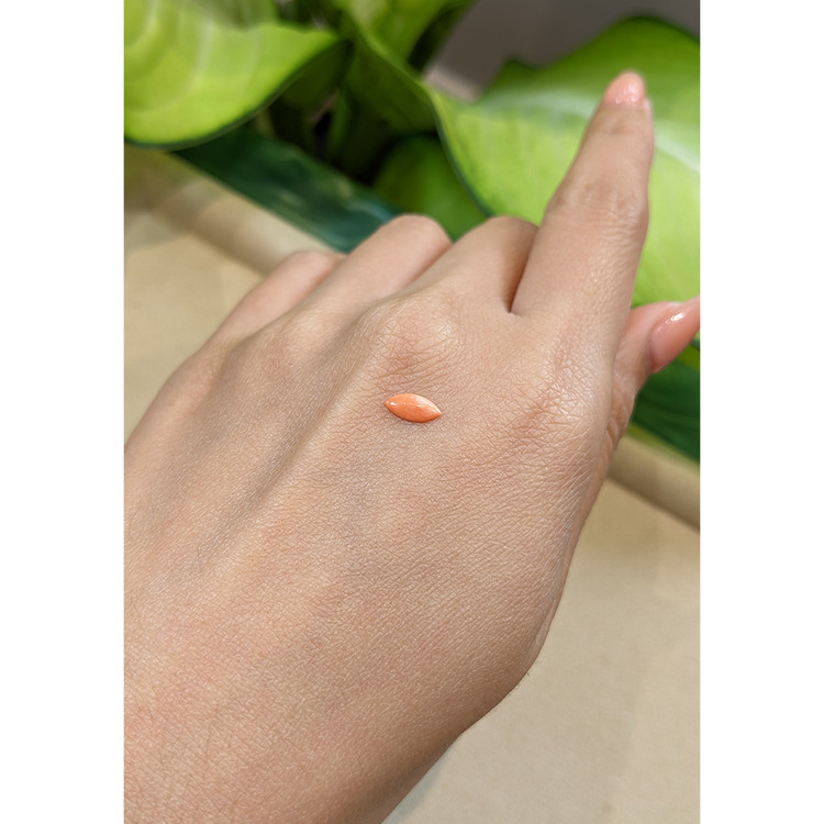 0.23 Ct. Cabochon Coral from Italy