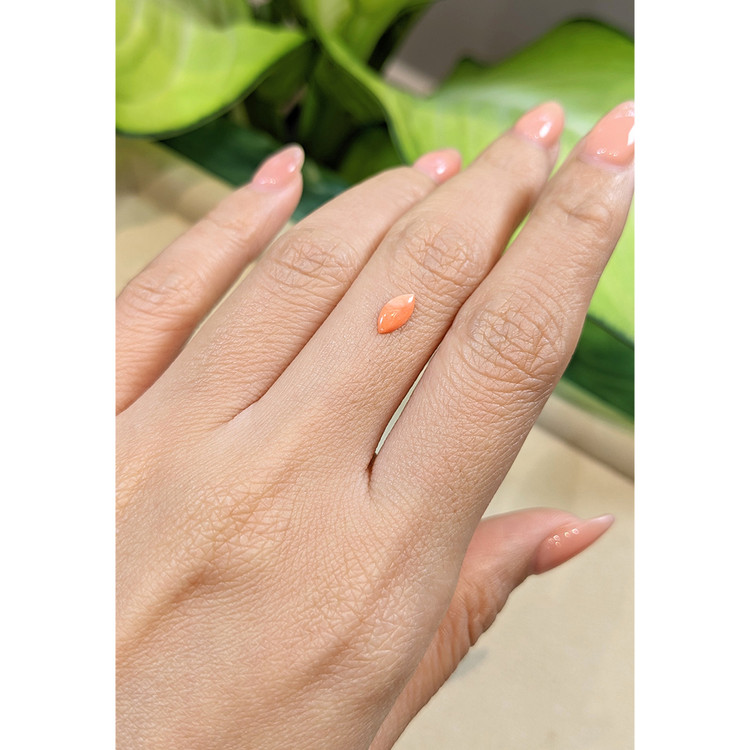 0.23 Ct. Cabochon Coral from Italy