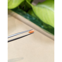 0.23 Ct. Cabochon Coral from Italy Life Style