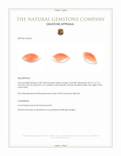 0.38 Ct. Cabochon Coral from Italy Appraisal