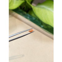 0.38 Ct. Cabochon Coral from Italy Life Style