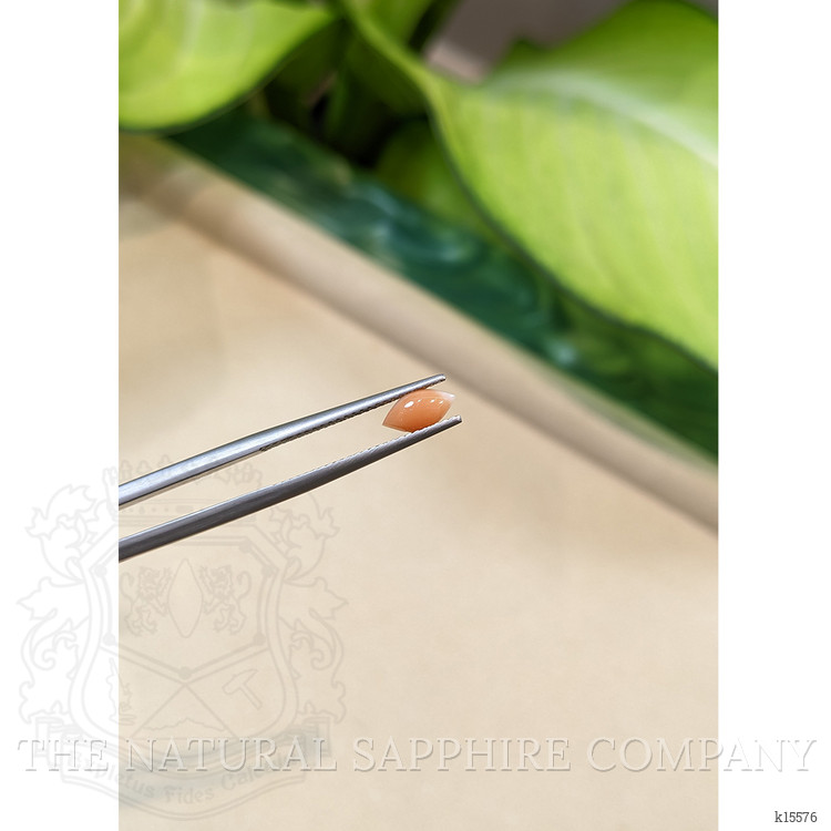 0.38 Ct. Cabochon Coral from Italy
