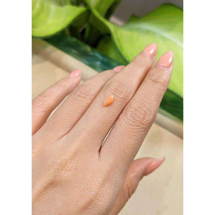 0.38 Ct. Cabochon Coral from Italy