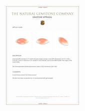 0.73 Ct. Cabochon Coral from Italy Appraisal