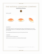 0.24 Ct. Cabochon Coral from Italy Appraisal