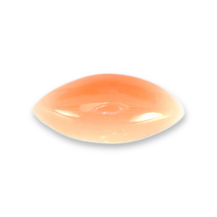 0.24 Ct. Cabochon Coral from Italy