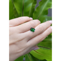 1.43 Ct. Tsavorite Garnet from Tanzania Life Style