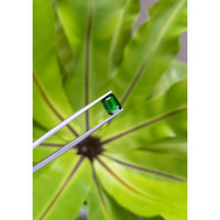 1.43 Ct. Tsavorite Garnet from Tanzania Life Style
