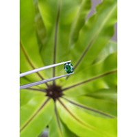 1.30 Ct. Tsavorite Garnet from Tanzania Life Style