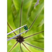 1.20 Ct. Tsavorite Garnet from Tanzania Life Style