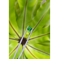 1.27 Ct. Tsavorite Garnet from Tanzania Life Style