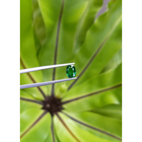 1.15 Ct. Tsavorite Garnet from Tanzania Life Style