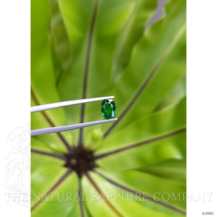 1.15 Ct. Tsavorite Garnet from Tanzania