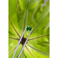 1.52 Ct. Tsavorite Garnet from Tanzania Life Style
