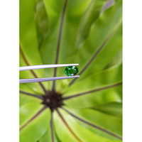 1.24 Ct. Tsavorite Garnet from Tanzania Life Style