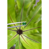 1.35 Ct. Tsavorite Garnet from Tanzania Life Style