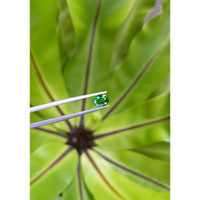 1.42 Ct. Tsavorite Garnet from Tanzania Life Style