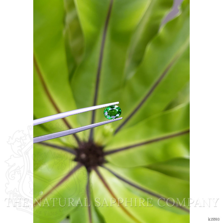 1.42 Ct. Tsavorite Garnet from Tanzania