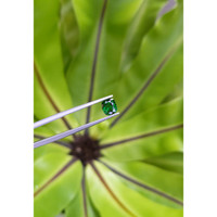 1.12 Ct. Tsavorite Garnet from Tanzania Life Style