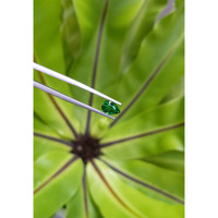 1.33 Ct. Tsavorite Garnet from Tanzania Life Style