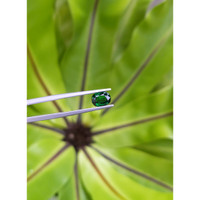 1.27 Ct. Tsavorite Garnet from Tanzania Life Style