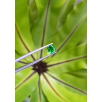1.37 Ct. Tsavorite Garnet from Tanzania Life Style
