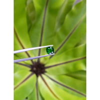 1.39 Ct. Tsavorite Garnet from Tanzania Life Style