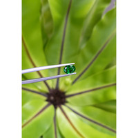 1.25 Ct. Tsavorite Garnet from Tanzania Life Style