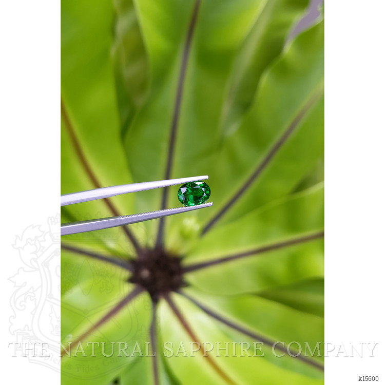 1.25 Ct. Tsavorite Garnet from Tanzania