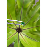 1.35 Ct. Tsavorite Garnet from Tanzania Life Style