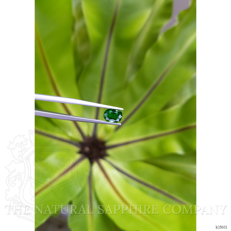 1.35 Ct. Tsavorite Garnet from Tanzania