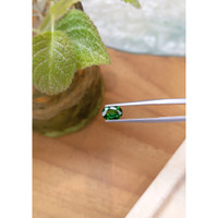 1.14 Ct. Tsavorite Garnet from Tanzania Life Style
