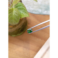 1.14 Ct. Tsavorite Garnet from Tanzania Life Style