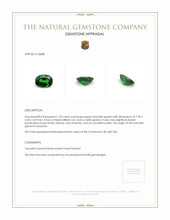 1.20 Ct. Tsavorite Garnet from Tanzania Appraisal