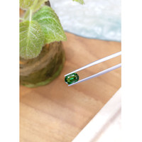 1.54 Ct. Tsavorite Garnet from Tanzania Life Style