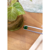 1.33 Ct. Tsavorite Garnet from Tanzania Life Style