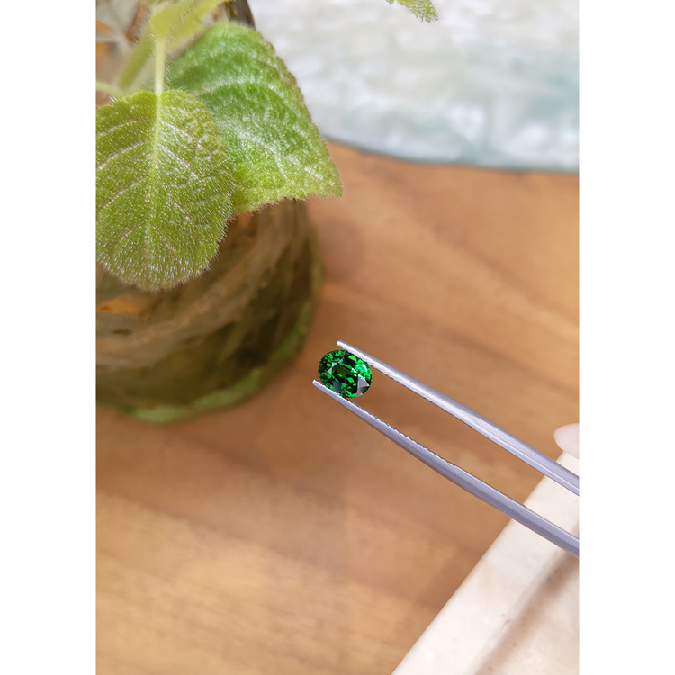 1.24 Ct. Tsavorite Garnet from Tanzania